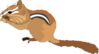Chipmunk Eating Clip Art